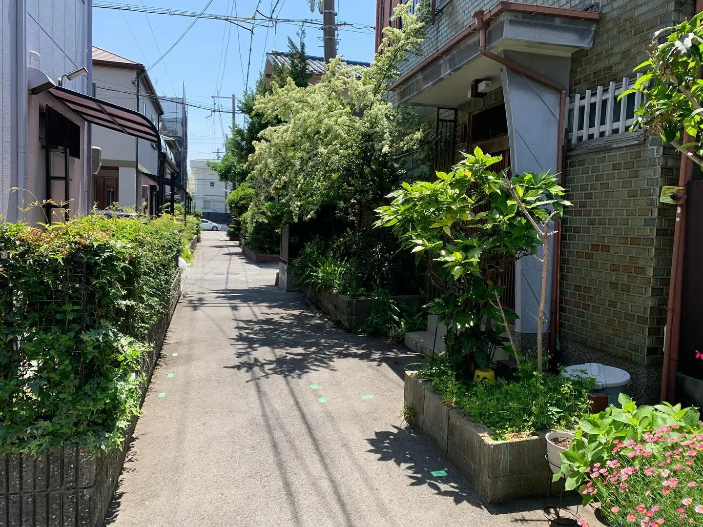 此花区高見ご成約ありがとうございした🤝