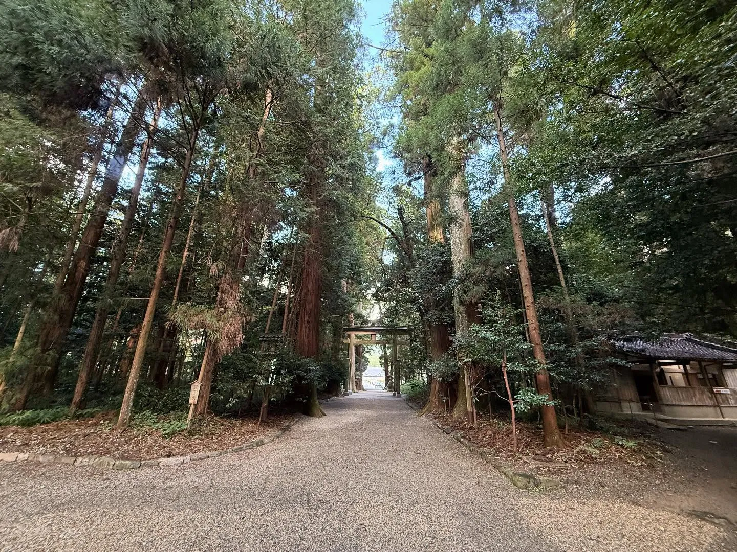 10月1日月初‼️