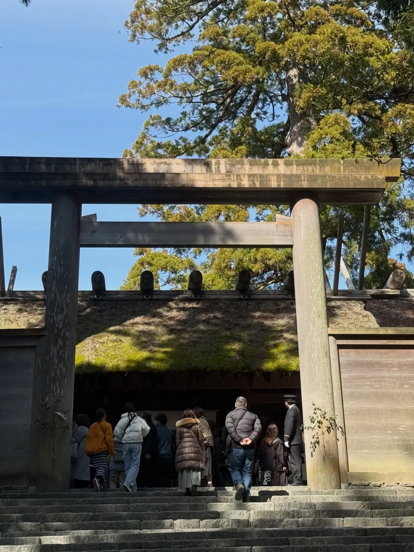 ３月ありがとうございました🙇‍♂️