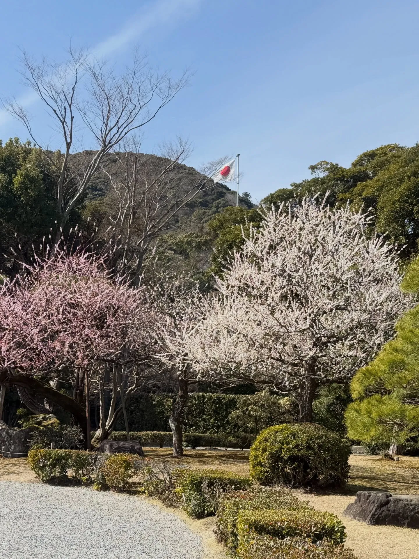 ３月ありがとうございました🙇‍♂️